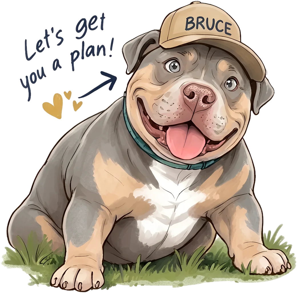 Bruce the Score Pros dog in his BRUCE cap, with a note that says Let's get you a plan!