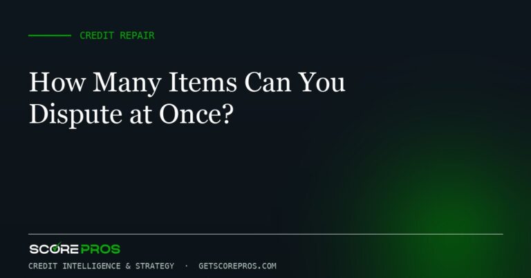 How Many Items Can You Dispute at Once?